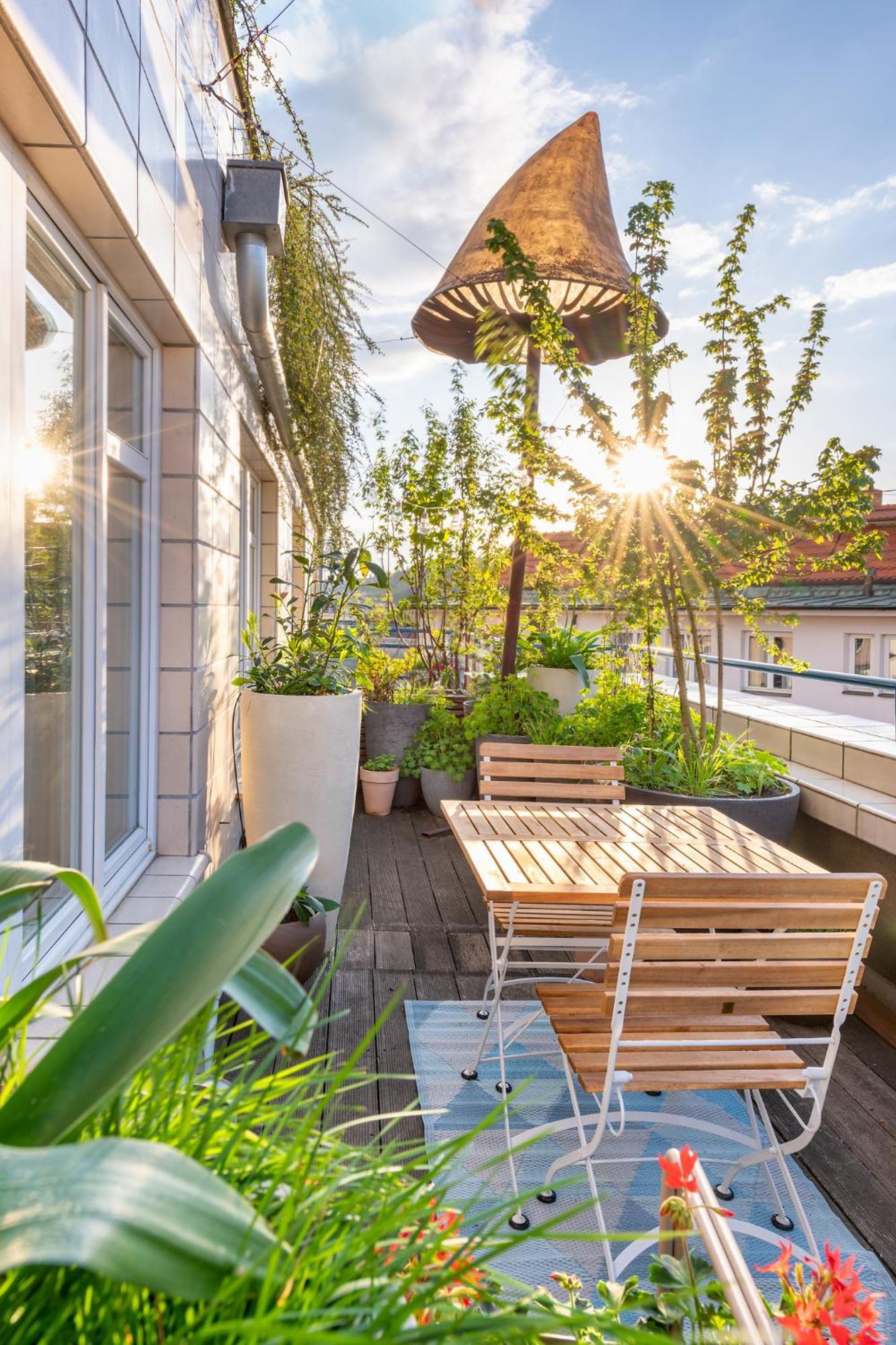 Superior Double or Twin Room with Terrace