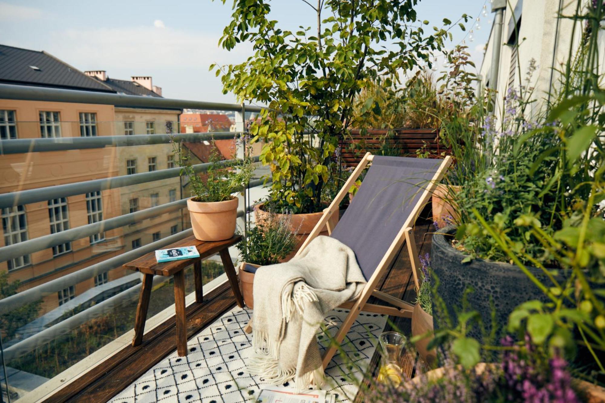 Superior Double or Twin Room Terrace