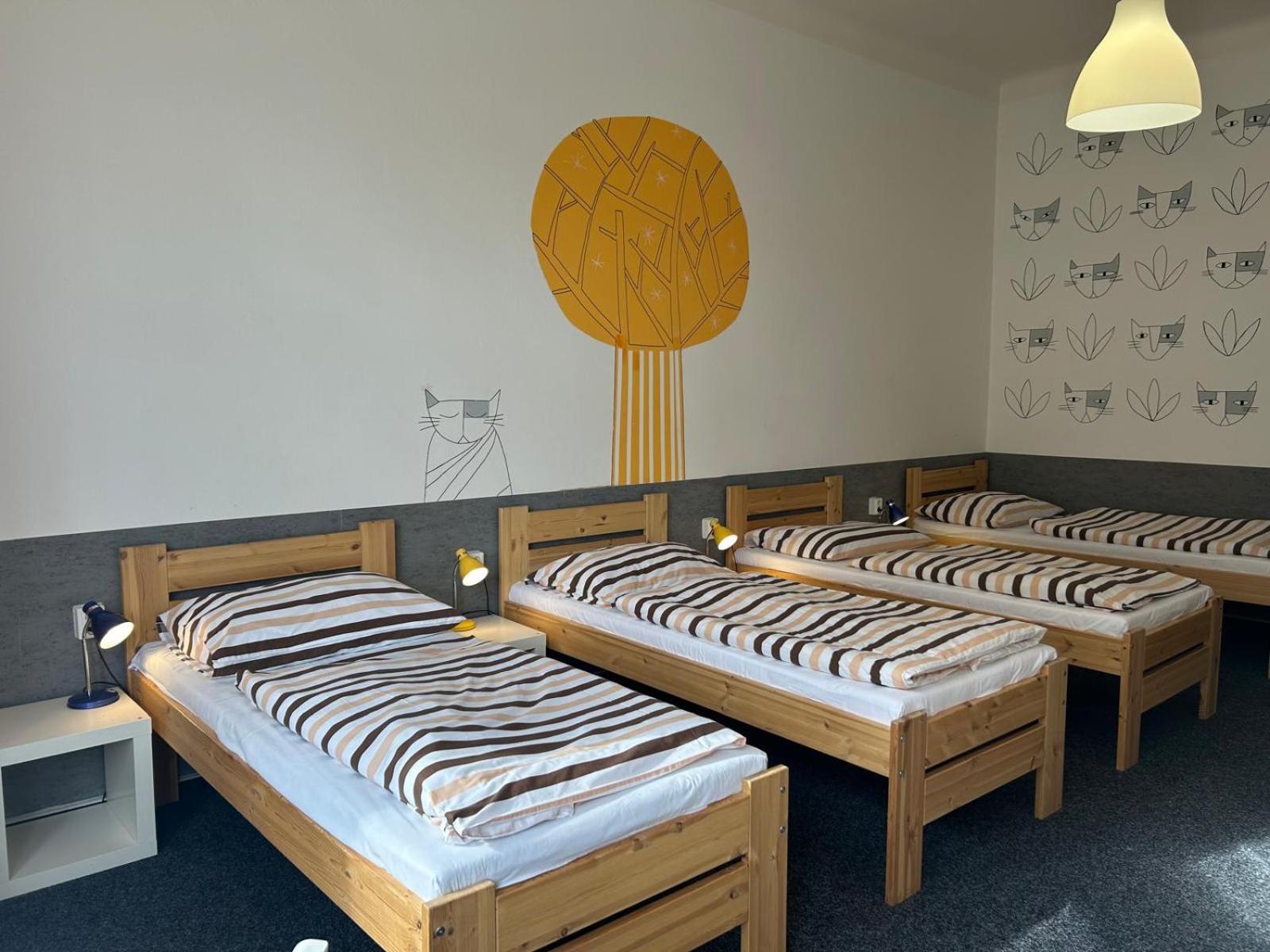 Bed 6-Bed Female Dormitory Room