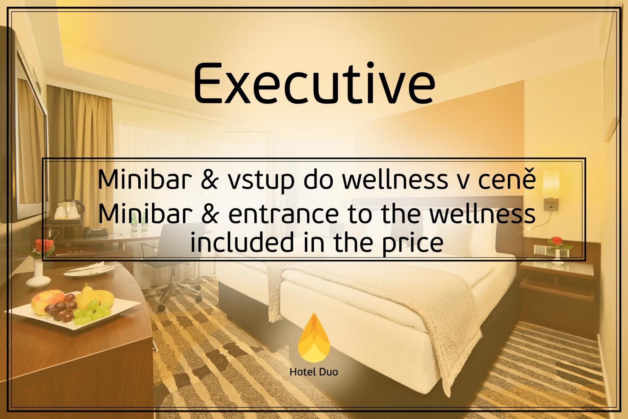 Executive Double or Twin Room with Wellness Access
