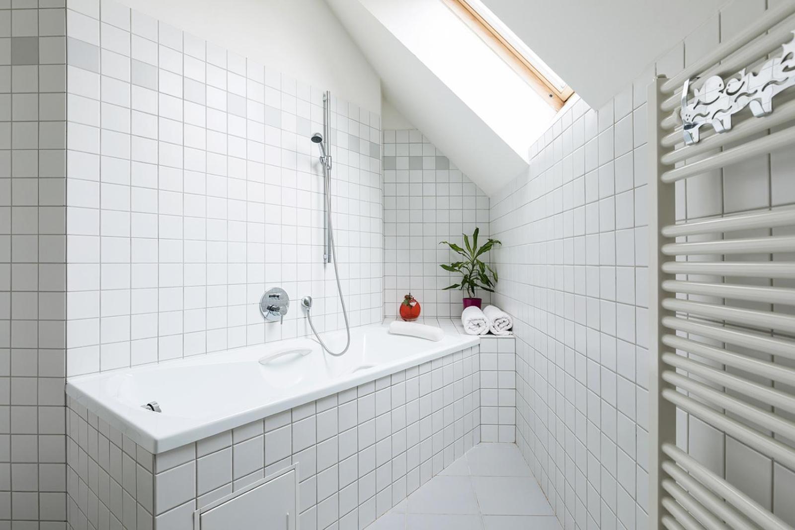 Large Duplex Apartment
