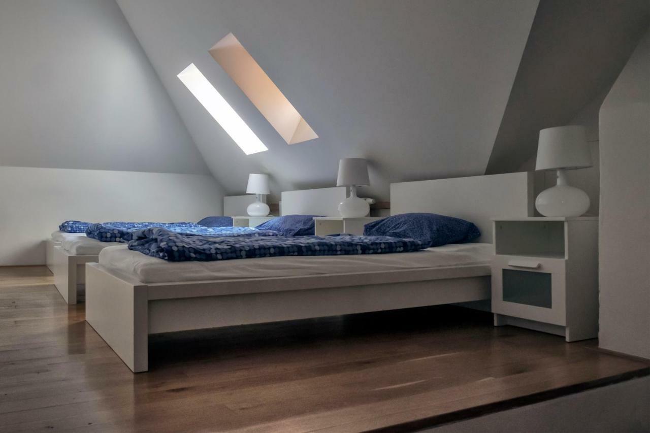 Bunk Bed Female Dormitory Room