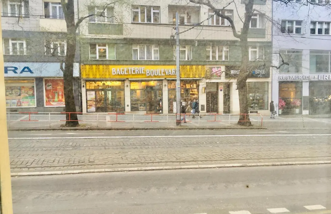 Hotel Flat In Centre Prague 2-1