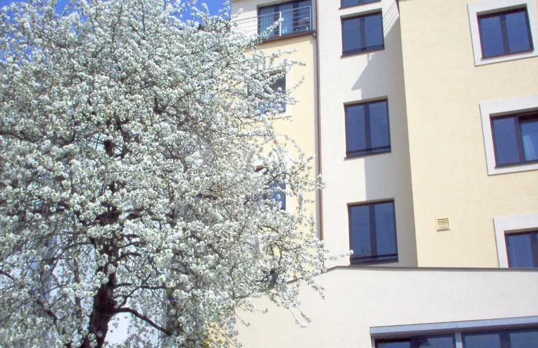 Hotel Coronet-1