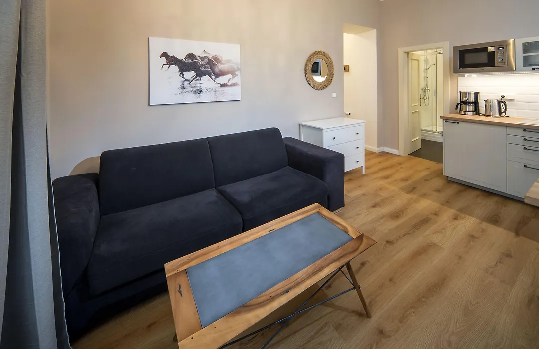 Downtown - Apart Hotel Zborovska-1