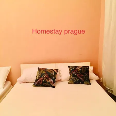 Hotel Flat In Centre Prague 2-2