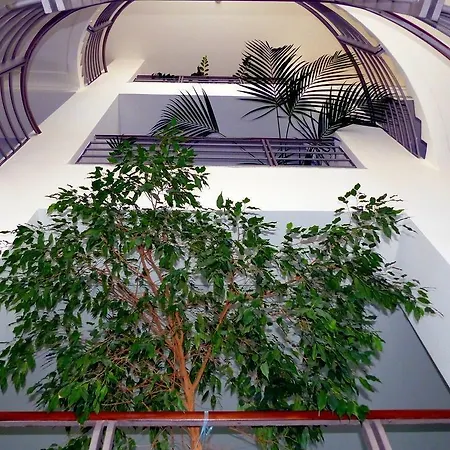 Hotel Dap-2