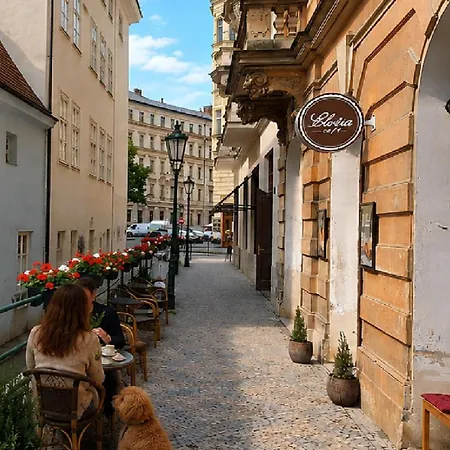 Old Town And Parking Assistance-2