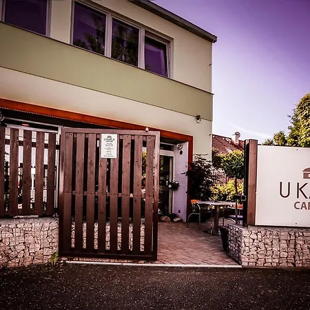 Hotel U Karla-2